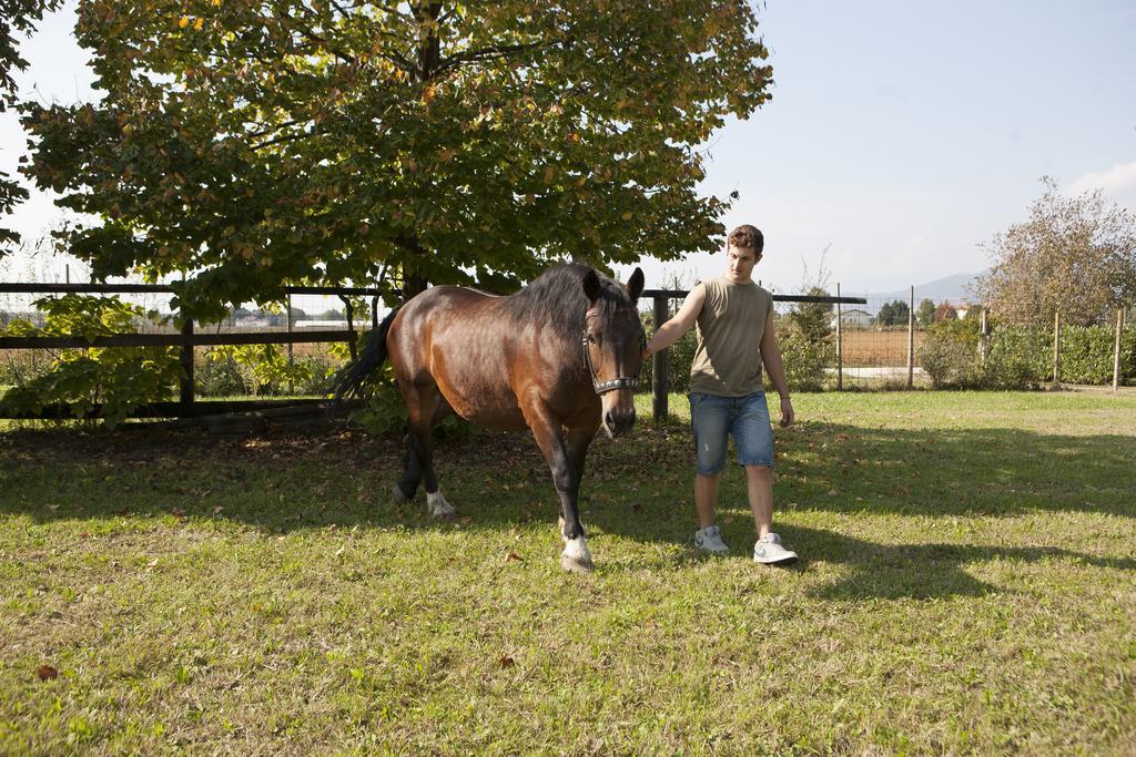 La Pioppa Agriturismo Sacile Ngoại thất bức ảnh